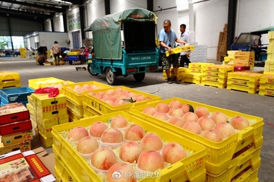 这是水蜜桃的季节。在雪堰的阖闾农副产品市场