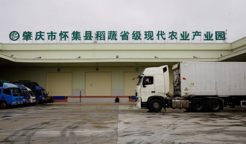怀集:坚持工业化思维,做大做强现代农业产业